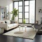 Fluffy Shaggy Carpet & Rug