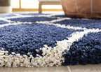 Lushious Shaggy Carpet & Rug
