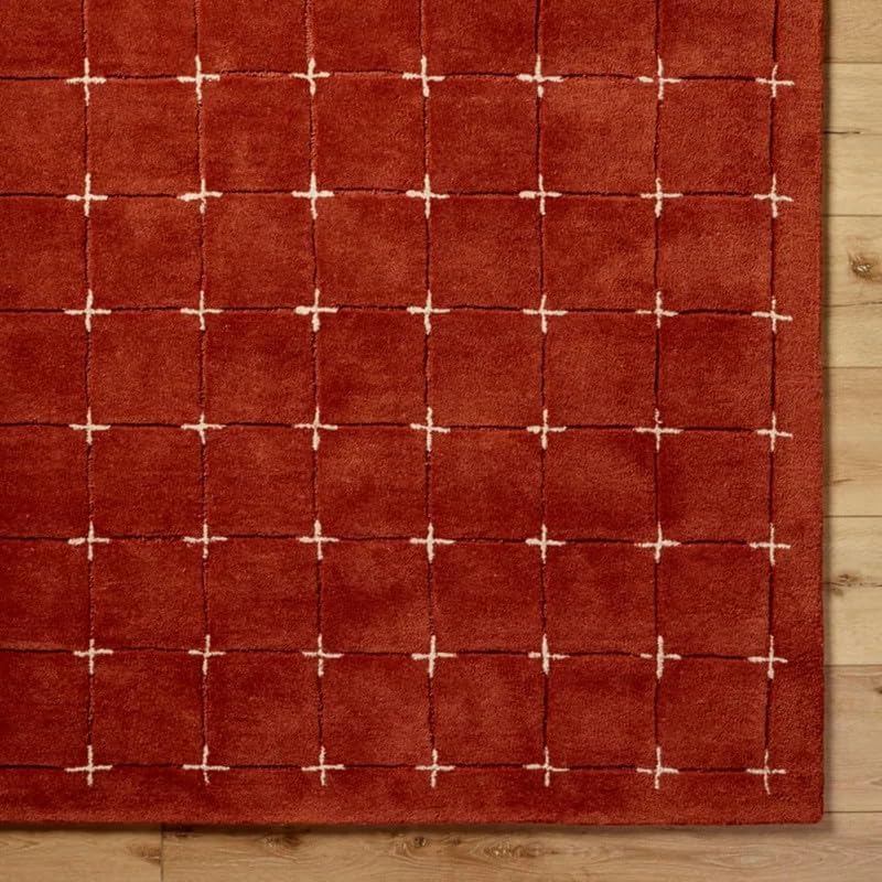 Soft Plush Terracotta Living Room Hand Tufted Carpet