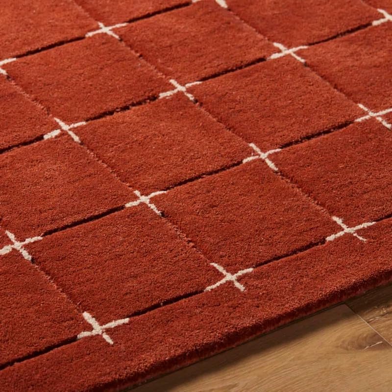 Soft Plush Terracotta Living Room Hand Tufted Carpet