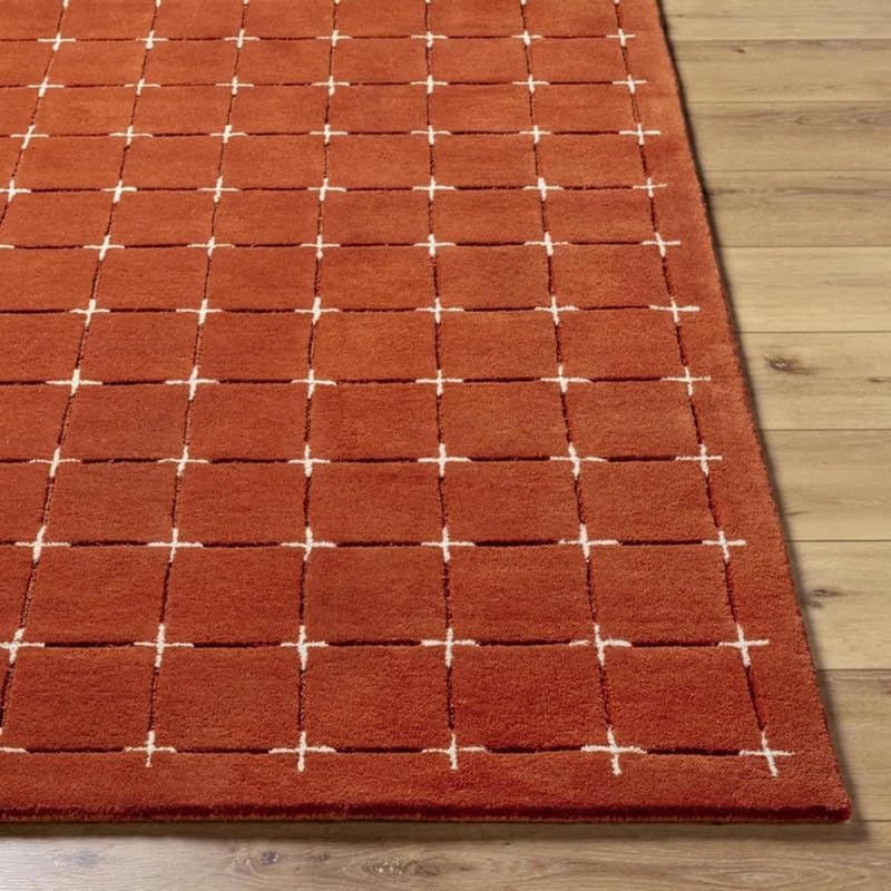 Soft Plush Terracotta Living Room Hand Tufted Carpet