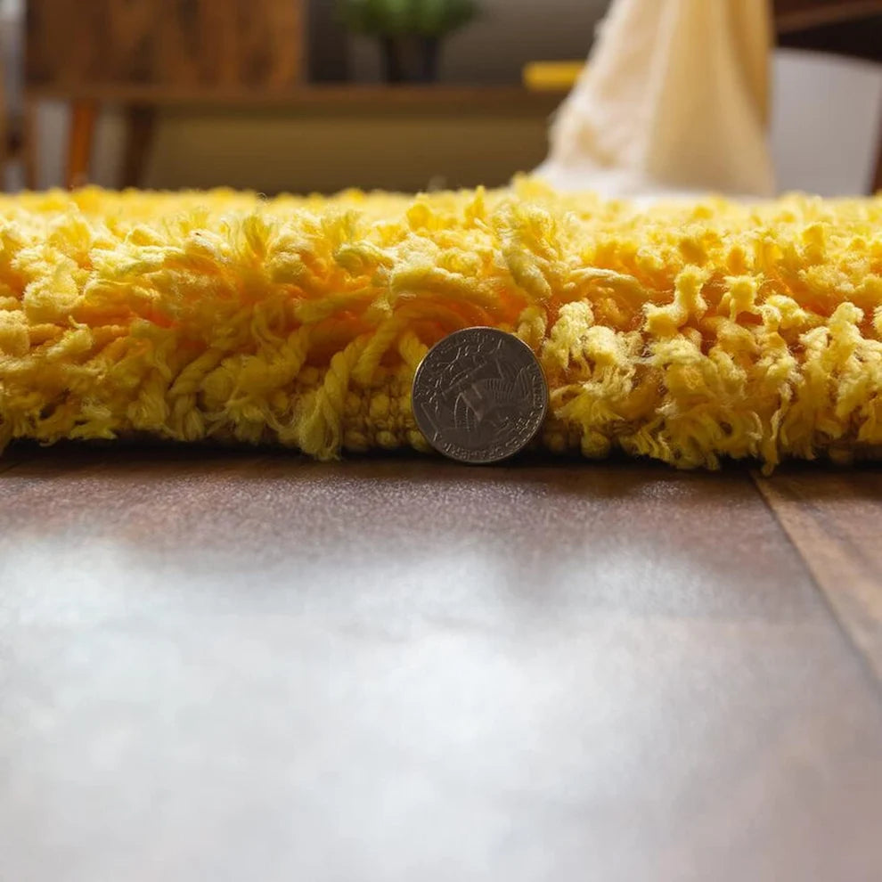 Plushenzo Shaggy Carpet & Rug