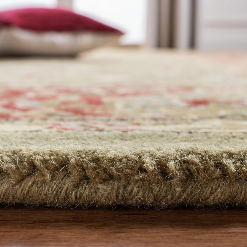Premium Traditional Floral Border Area Hand Tufted Carpet