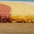 Rainbow Arc Sunset Curves Plush Multi-Tone Wave Shaggy Carpets & Rugs