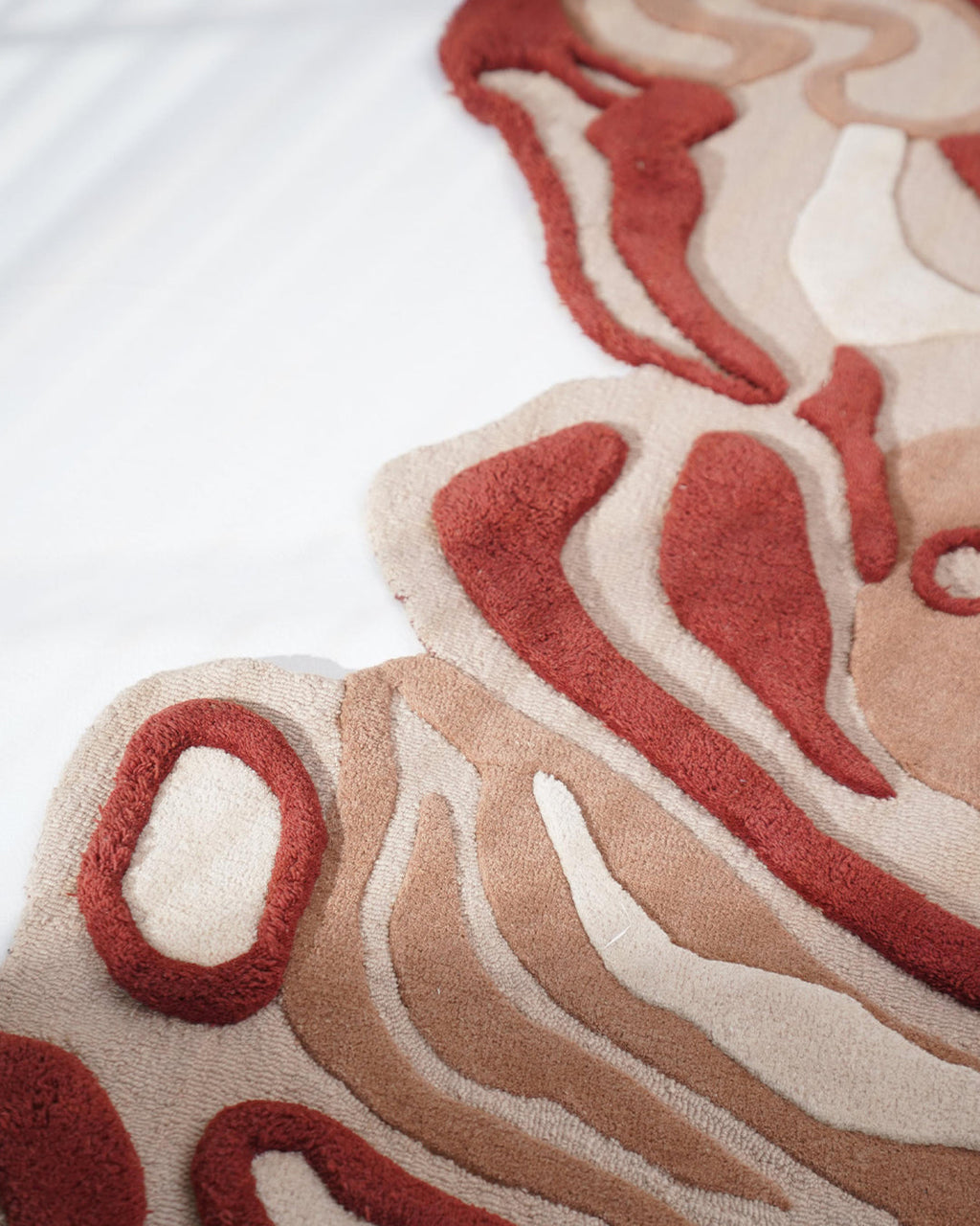 Multicolor Irregular Handmade Rug